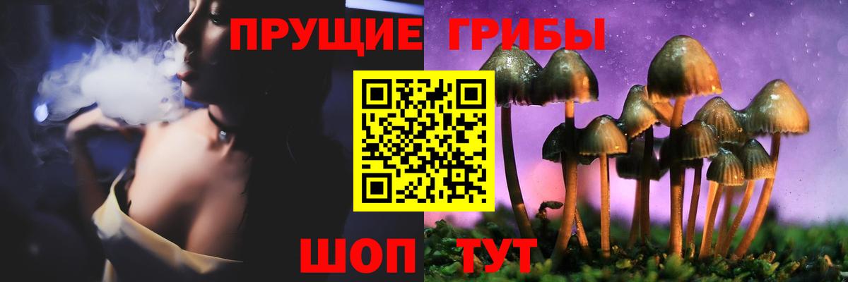 Галлюциногенные грибы мухоморы Канск